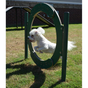 Dog Hoop Jump