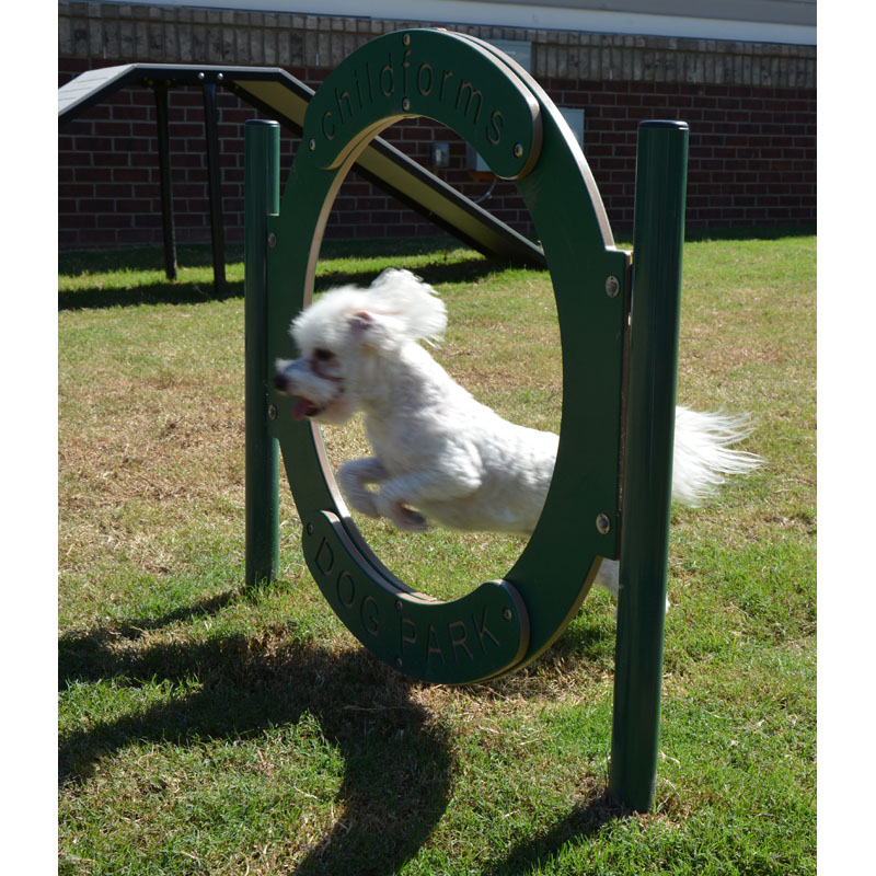 Dog Hoop Jump